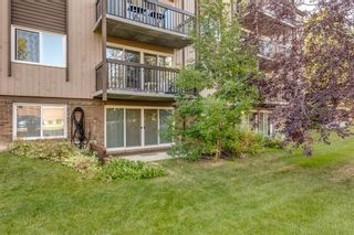 Photo 19: 502 8948 Elbow Drive SW in Calgary: Haysboro Apartment for sale : MLS®# A1258286
