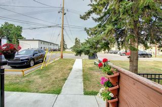 Photo 45: 305 2211 19 Street NE in Calgary: Vista Heights Row/Townhouse for sale : MLS®# A1245740