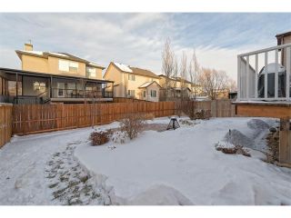 Photo 22: 289 West Lakeview Drive: Chestermere House for sale : MLS®# C4092730