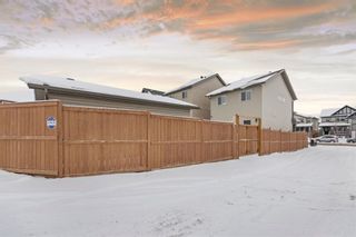Photo 5: 225 Skyview Ranch Boulevard NE in Calgary: Skyview Ranch Detached for sale : MLS®# A2117023