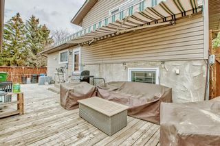 Photo 17: 207 Whitaker Close NE in Calgary: Whitehorn Detached for sale : MLS®# A2047027