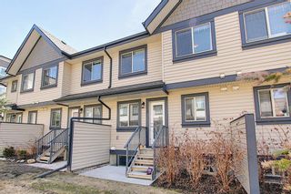 Photo 41: 705 121 Copperpond Common in Calgary: Copperfield Row/Townhouse for sale : MLS®# A2052150