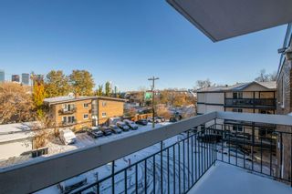 Photo 27: 403 110 24 Avenue SW in Calgary: Mission Apartment for sale : MLS®# A2018306