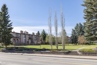 Photo 46: 45 1011 Canterbury Drive SW in Calgary: Canyon Meadows Row/Townhouse for sale : MLS®# A1217116