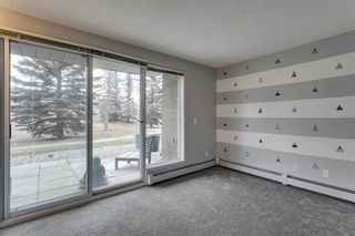 Photo 22: 10 113 Village Heights SW in Calgary: Patterson Apartment for sale : MLS®# A1161588
