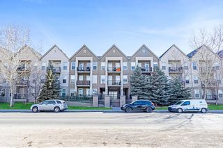 Photo 1: 313 15304 Bannister Road SE in Calgary: Midnapore Apartment for sale : MLS®# A2049285