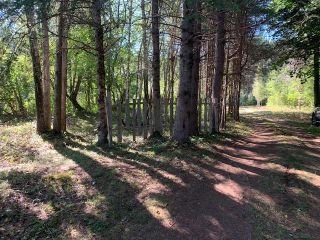 Photo 11: 3770 321 Highway in Oxford Junction: 102S-South of Hwy 104, Parrsboro Vacant Land for sale (Northern Region)  : MLS®# 202220658