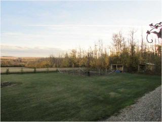 Photo 7: 5395 230TH Road: Taylor Manufactured Home for sale in "SOUTH TAYLOR" (Fort St. John (Zone 60))  : MLS®# N240220