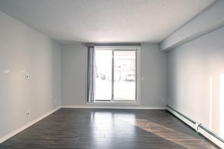 Photo 6: 1112 6635 25 Avenue NE in Calgary: Pineridge Apartment for sale : MLS®# A1177665