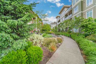 Photo 26: B403 20211 66 Avenue in Langley: Willoughby Heights Condo for sale in "Elements" : MLS®# R2582651