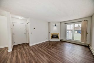 Photo 14: 12 2712 Edenwold Heights NW in Calgary: Edgemont Apartment for sale : MLS®# A2143010