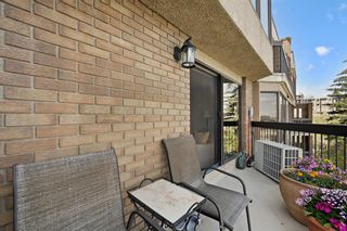 Photo 20: 503 320 Meredith Road NE in Calgary: Crescent Heights Apartment for sale : MLS®# A2048842