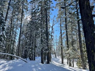 Photo 15: DL 801 HIGHWAY 3B in Rossland: Vacant Land for sale : MLS®# 2474556
