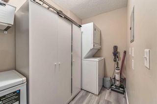 Photo 17: 1110 1110 Valleyview Park SE in Calgary: Dover Apartment for sale : MLS®# A2099354