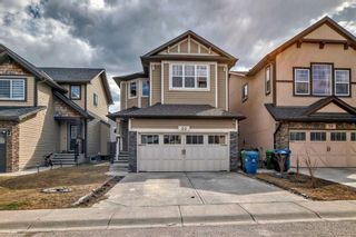 Main Photo: 50 Skyview Shores Crescent NE in Calgary: Skyview Ranch Detached for sale : MLS®# A2125037
