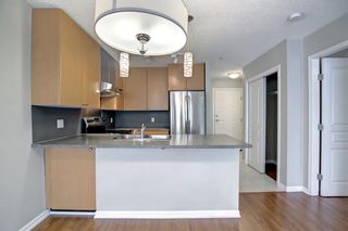 Photo 5: 208 25 Richard Place SW in Calgary: Lincoln Park Apartment for sale : MLS®# A1227821