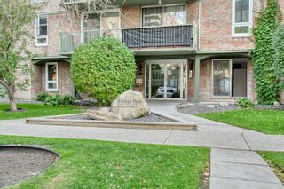Photo 2: 201 1015 14 Avenue SW in Calgary: Beltline Apartment for sale : MLS®# A1074004