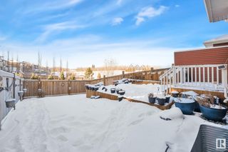 Photo 42: 13112 205 Street in Edmonton: Zone 59 House Half Duplex for sale : MLS®# E4322500