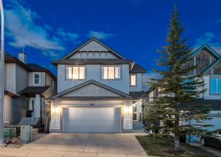Photo 37: 248 EVANSBROOKE Way NW in Calgary: Evanston Detached for sale : MLS®# A1221592