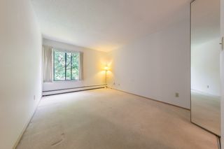Photo 7: 310 1710 W 13TH Avenue in Vancouver: Fairview VW Condo for sale in "PINE RIDGE" (Vancouver West)  : MLS®# R2384892