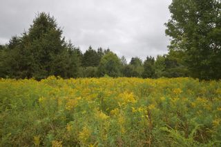 Photo 21: Lot 5 No 12 Highway in Murphy Lake: Kings County Vacant Land for sale (Annapolis Valley)  : MLS®# 202401271