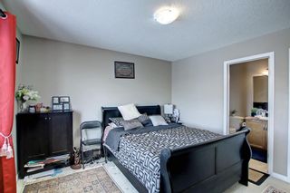 Photo 50: 250 Martinwood Place NE in Calgary: Martindale Detached for sale : MLS®# A1186078