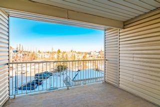 Photo 19: 3413 1620 70 Street SE in Calgary: Applewood Park Apartment for sale : MLS®# A1258533