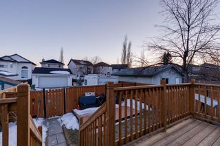 Photo 34: 169 Country Hills Place NW in Calgary: Country Hills Detached for sale : MLS®# A2035817