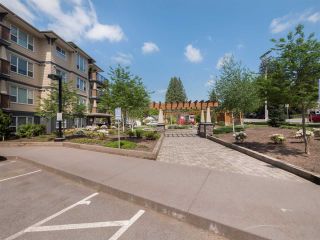 Photo 16: 421 2565 CAMPBELL Avenue in Abbotsford: Central Abbotsford Condo for sale in "Abacus" : MLS®# R2266079