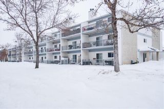 Photo 1: 205 1671 Plessis Road in Winnipeg: Lakeside Meadows Condominium for sale (3K)  : MLS®# 202300937