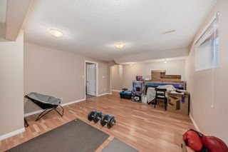 Photo 25: 291 Evanston View NW in Calgary: Evanston Detached for sale : MLS®# A2119232
