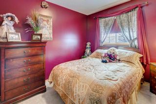 Photo 18: 119 Springs Crescent SE: Airdrie Detached for sale : MLS®# A1198998