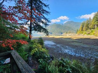 Photo 4: 12 BUNTZEN Bay in North Vancouver: Indian Arm House for sale : MLS®# R2869467