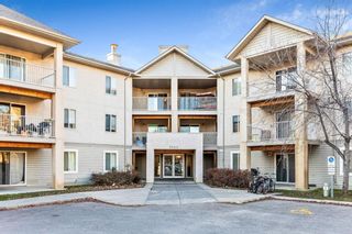 Photo 1: 302 3000 Citadel Meadow Point NW in Calgary: Citadel Apartment for sale : MLS®# A1161229