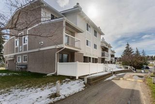 Main Photo: 128 3015 51 Street SW in Calgary: Glenbrook Apartment for sale : MLS®# A2120789