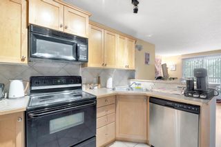 Photo 6: 305 60 38A Avenue SW in Calgary: Parkhill Apartment for sale : MLS®# A2050079