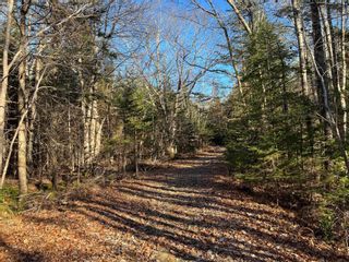 Photo 3: 1787 Italy Cross Road in Petite Rivière: 405-Lunenburg County Vacant Land for sale (South Shore)  : MLS®# 202226632