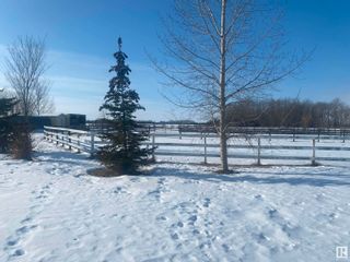 Photo 9: 59432 RGE RD 263: Rural Westlock County House for sale : MLS®# E4357049