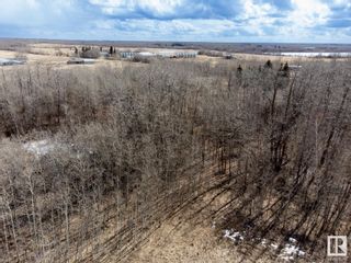 Photo 40: 23246 TWP  RD 521A: Rural Strathcona County Vacant Lot/Land for sale : MLS®# E4384068