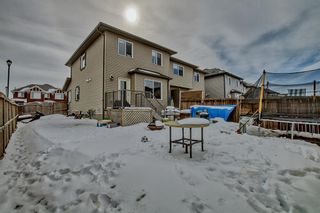 Photo 37: 2341 Baywater Crescent SW: Airdrie Semi Detached (Half Duplex) for sale : MLS®# A2035202