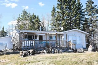 Photo 10: 461048 RR63: Rural Wetaskiwin County House for sale : MLS®# E4382383