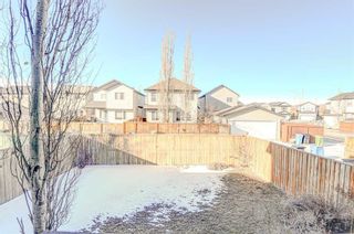 Photo 25: 274 Covecreek Close NE in Calgary: Coventry Hills Detached for sale : MLS®# A2107967