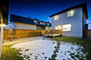 Photo 28: 169 SKYVIEW RANCH DR NE in Calgary: Skyview Ranch House for sale : MLS®# C4278111