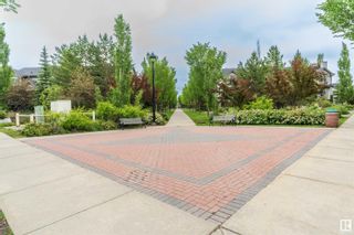 Photo 29: 4740 TERWILLEGAR Common in Edmonton: Zone 14 Attached Home for sale : MLS®# E4394659