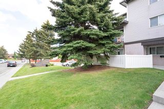 Photo 34: 42 3800 Fonda Way SE in Calgary: Forest Heights Row/Townhouse for sale : MLS®# A1243051