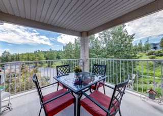 Photo 15: 302 4000 Citadel Meadow Point NW in Calgary: Citadel Apartment for sale : MLS®# A1234813