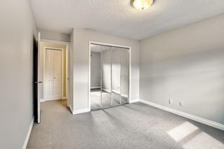 Photo 16: 307 2010 35 Avenue SW in Calgary: Altadore Apartment for sale : MLS®# A2047217