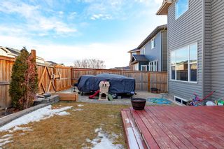 Photo 39: 382 Evanston Drive NW in Calgary: Evanston Detached for sale : MLS®# A1177812