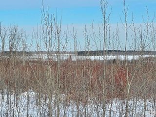 Photo 12: TWP RD 613A RGE RD 234: Rural Westlock County Rural Land/Vacant Lot for sale : MLS®# E4276161