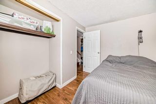 Photo 14: 223 Pinemont Road NE in Calgary: Pineridge Semi Detached (Half Duplex) for sale : MLS®# A2120307
